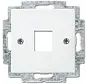 centraalplaat + draagring 1x modular jack Balance SI (2561-914)