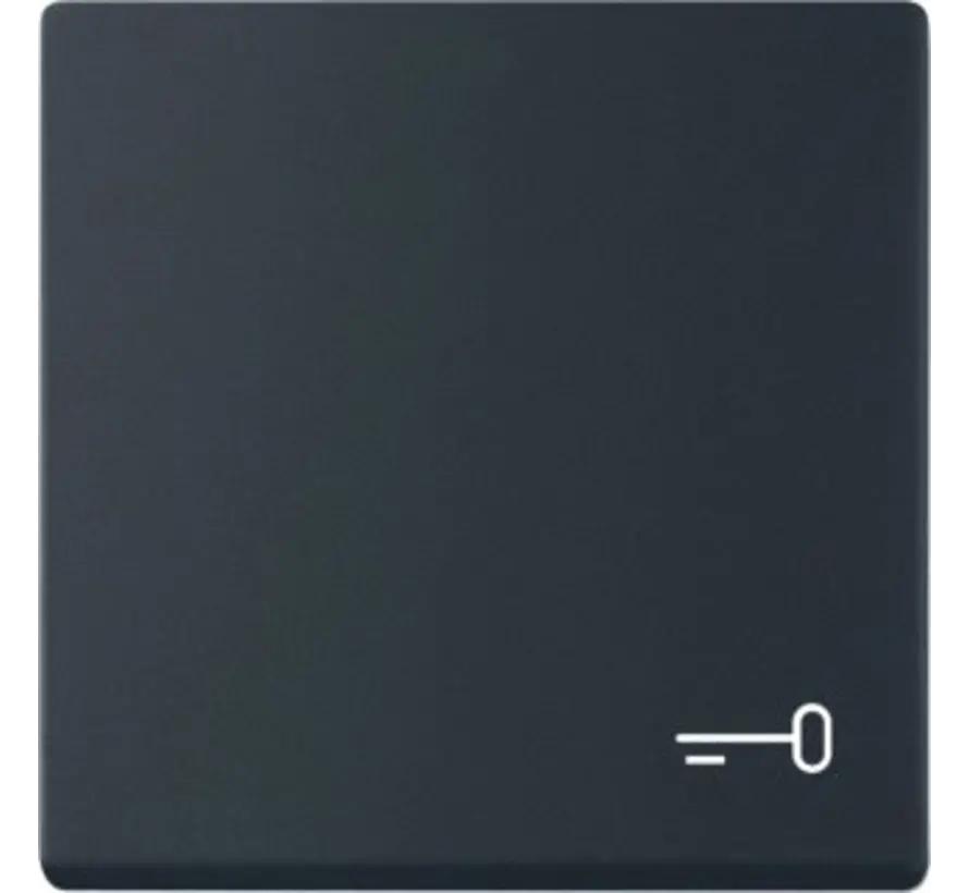 schakelwip symbool sleutel Future Linear zwart mat (2520 TR-885)