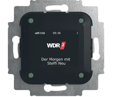 Busch-Jaeger digitale radio DAB+ (8215 U-101)