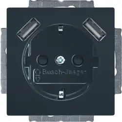 Busch-Jaeger wandcontactdoos randaarde kindveilig met 2xUSB Future Linear antraciet glans (20 EUCB2USB-81)