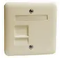 centraalplaat modular jack 1-voudig tekstkader Standard creme (80.610 MJ1 NA W)