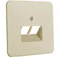 centraalplaat RJ45 wandcontactdoos 2-voudig Standard creme (80.610 UAE/2-N W)