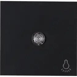 Kopp schakelwip controlevenster met licht symbool HK07 Athenis zwart mat (490447002)