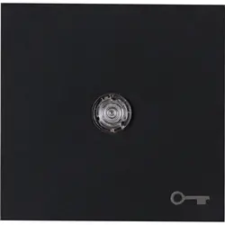 Kopp schakelwip controlevenster met sleutel symbool HK07 Athenis zwart mat (490467006)