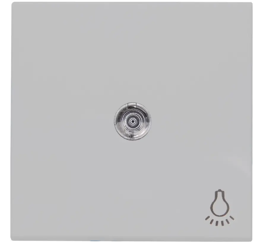 schakelwip controlevenster met licht symbool HK07 Athenis grijs mat (490445000)