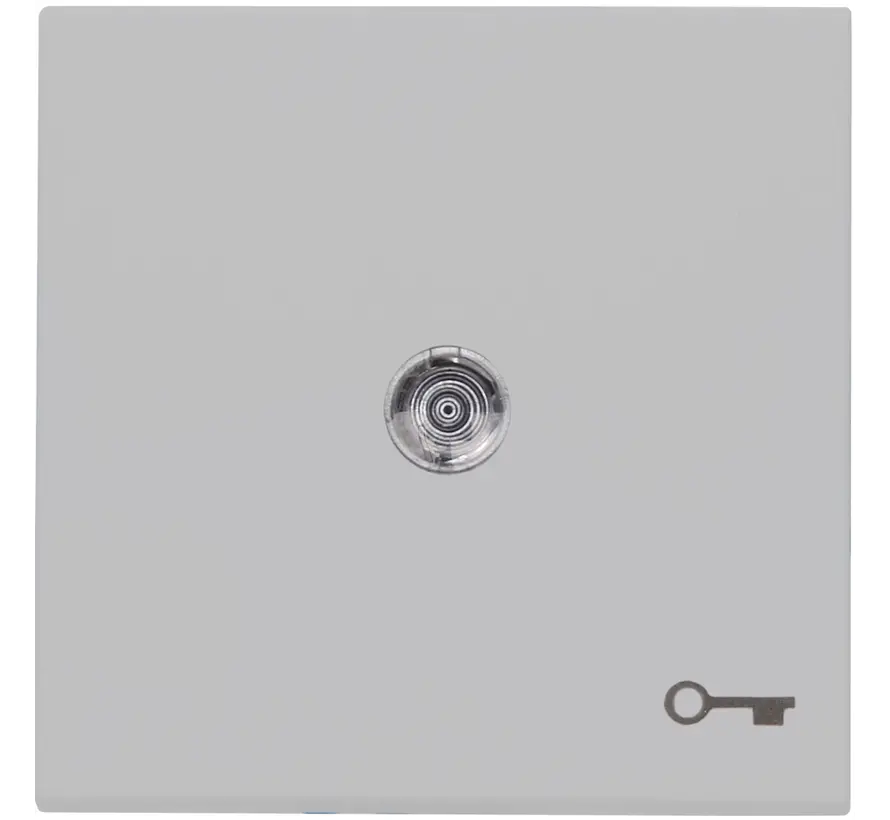 schakelwip controlevenster met sleutel symbool HK07 Athenis grijs mat (490465004)