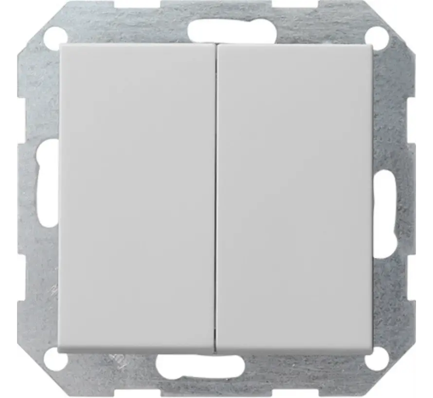 drukvlakschakelaar rechtstaand serieschakelaar Systeem 55 grijs mat