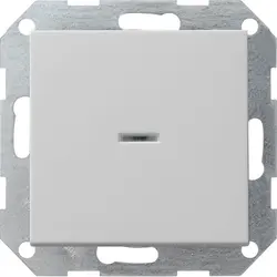 Gira drukvlakschakelaar controleverlichting 1-polig Systeem 55 grijs mat