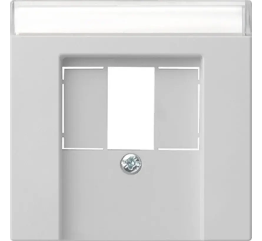 centraalplaat USB met tekstkader Systeem 55 grijs mat (0876015)