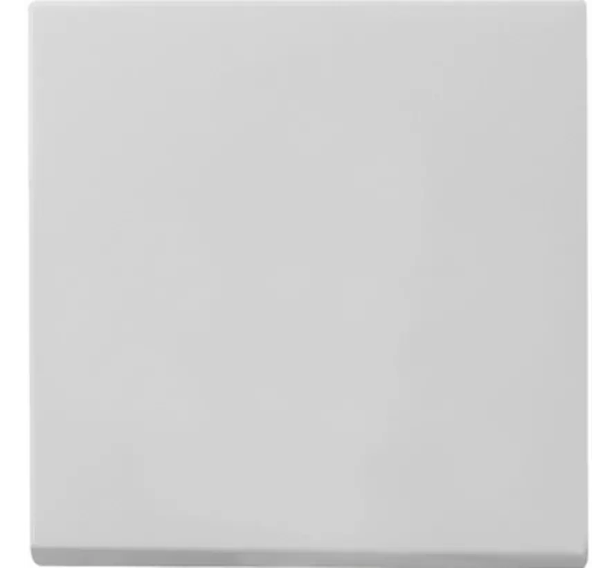 schakelwip Systeem 55 grijs mat oud model (0296015)