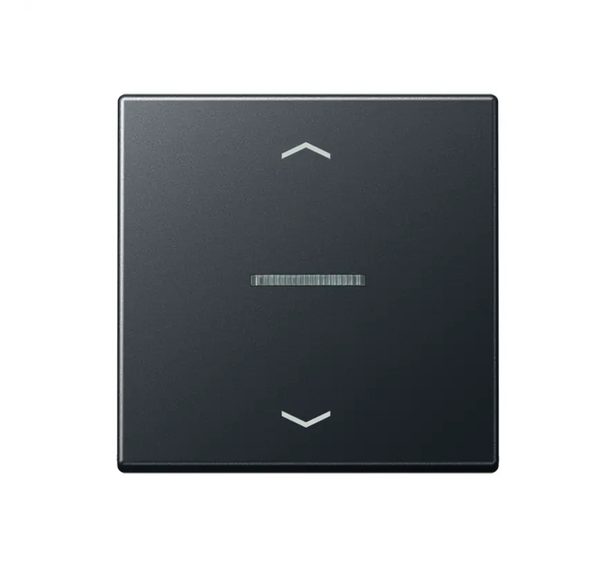 HOME dimmerknop 1-voudig met pijlsymbolen A-range antraciet mat (BT A 17101 BF P ANM)