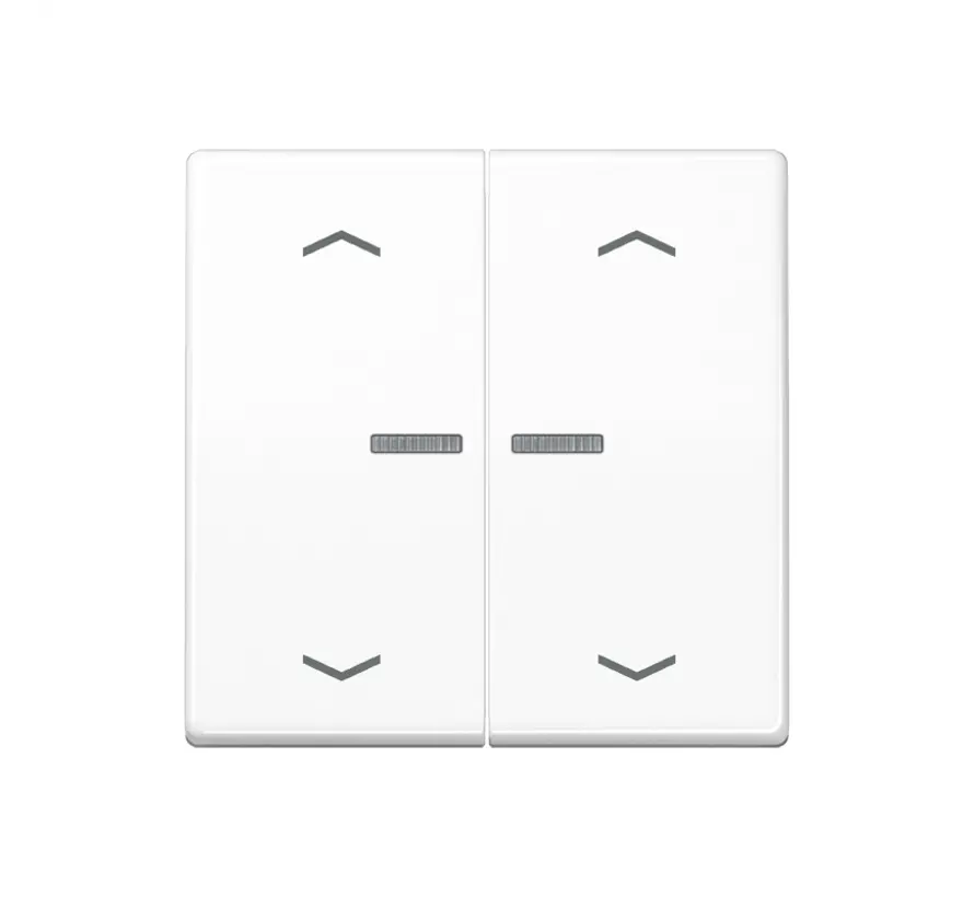 HOME dimmerknop 2-voudig met pijlsymbolen AS500 alpine wit (BT AS 17102 P WW)