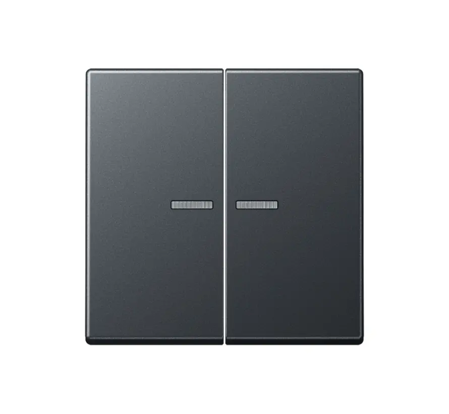 HOME dimmerknop 2-voudig A-range antraciet mat (BT A 17102 BF ANM)