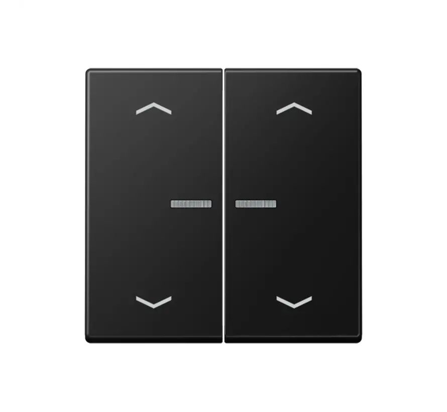 HOME dimmerknop 2-voudig met pijlsymbolen A-range grafietzwart mat (BT A 17102 P SWM)