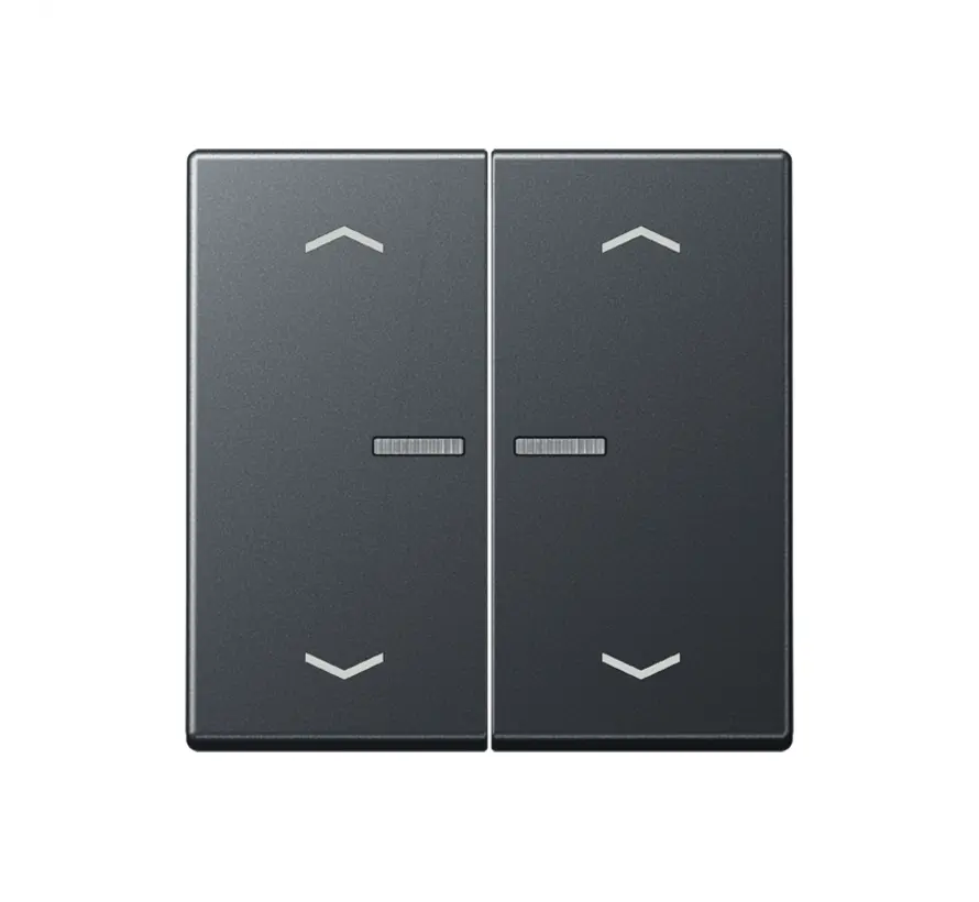 HOME dimmerknop 2-voudig met pijlsymbolen A-range antraciet mat (BT A 17102 BF P ANM)