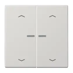 JUNG HOME dimmerknop 2-voudig met pijlsymbolen LS990 lichtgrijs (BT LS 17102 P LG)