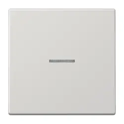 JUNG HOME dimmerknop 1-voudig LS990 lichtgrijs (BT LS 17101 LG)