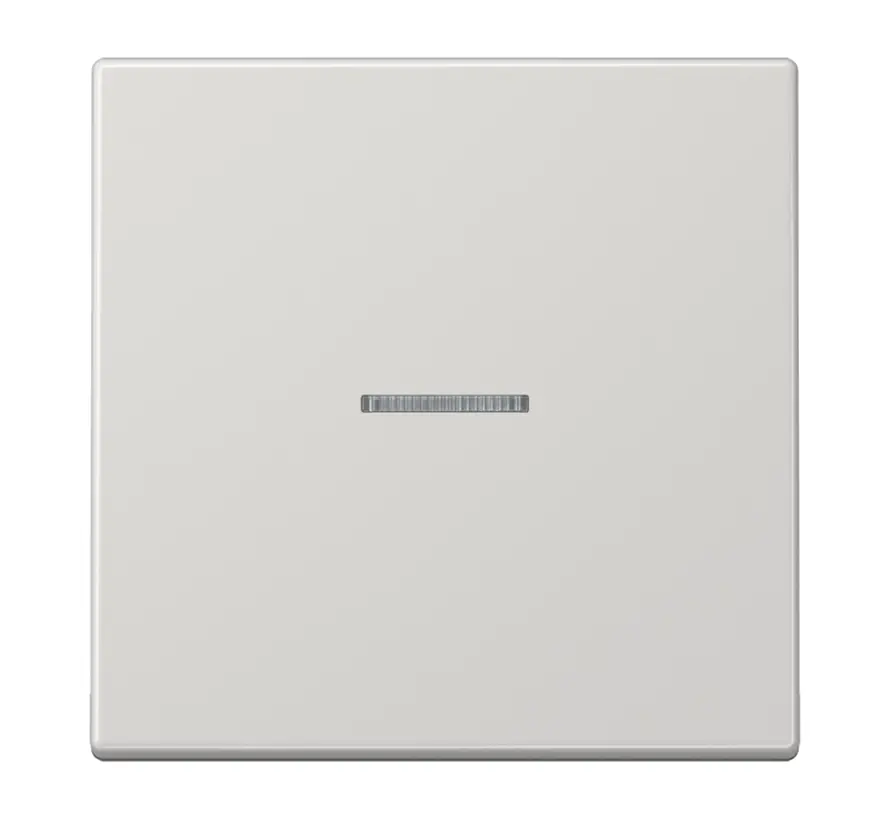 HOME dimmerknop 1-voudig LS990 lichtgrijs (BT LS 17101 LG)