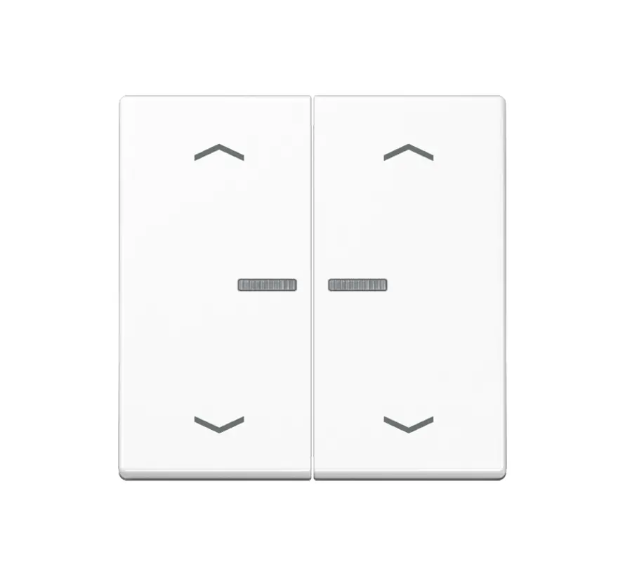schakelwip 2-voudig met controlevenster en pijlsymbolen voor HOME draadloze schakelaar A-range alpine wit (A 102 KO5P BF WW)
