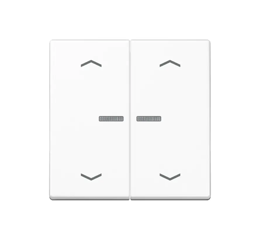 schakelwip 2-voudig met controlevenster en pijlsymbolen voor HOME draadloze schakelaar A-range alpine wit (A 102 KO5P WW)