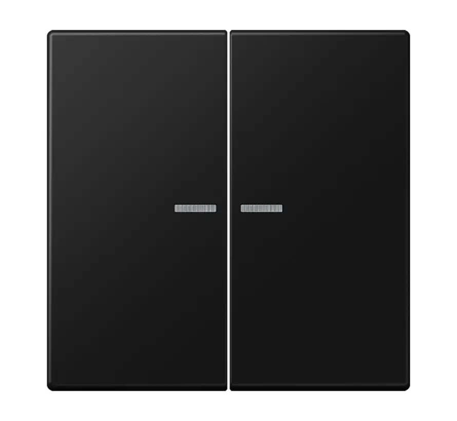 schakelwip 2-voudig met controlevenster voor HOME draadloze schakelaar LS990 grafietzwart mat (LS 102 KO5 SWM)
