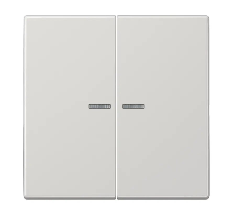 schakelwip 2-voudig met controlevenster voor HOME draadloze schakelaar LS990 lichtgrijs (LS 102 KO5 LG)