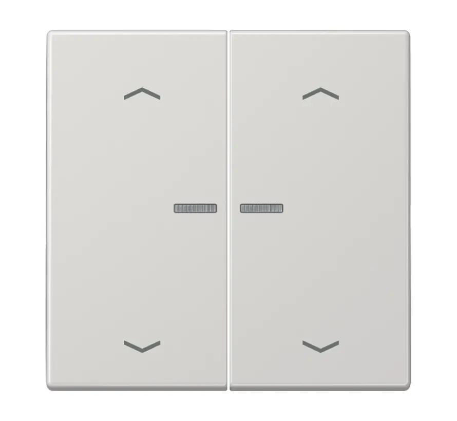 schakelwip 2-voudig met controlevenster en pijlsymbolen voor HOME draadloze schakelaar LS990 lichtgrijs (LS 102 KO5P LG)