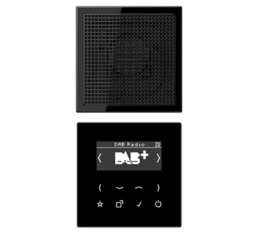 smart radio DAB+ set met 1 luidspreker LS990 zwart (DAB LS1 SW)