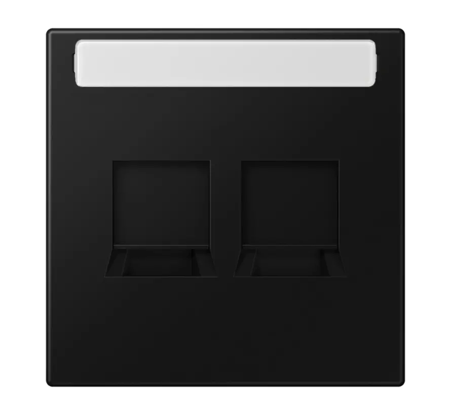 centraalplaat 2-voudig modular-jack tekstveld LS990 grafietzwart mat (LS 1969-2 NA WE SWM)