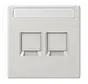 centraalplaat 2-voudig modular-jack tekstveld LS990 lichtgrijs (LS 1969-2 NA WE LG)