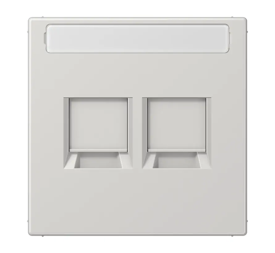 centraalplaat 2-voudig modular-jack tekstveld LS990 lichtgrijs (LS 1969-2 NA WE LG)