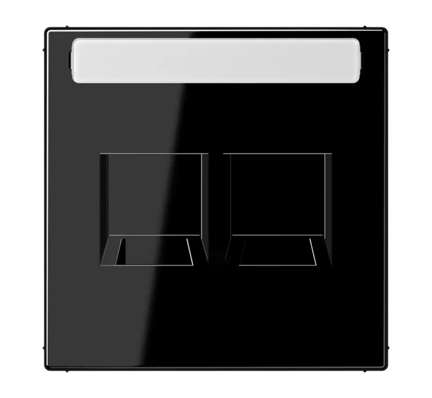 centraalplaat 2-voudig modular-jack tekstveld LS990 zwart glans (LS 1969-2 NA WE SW)