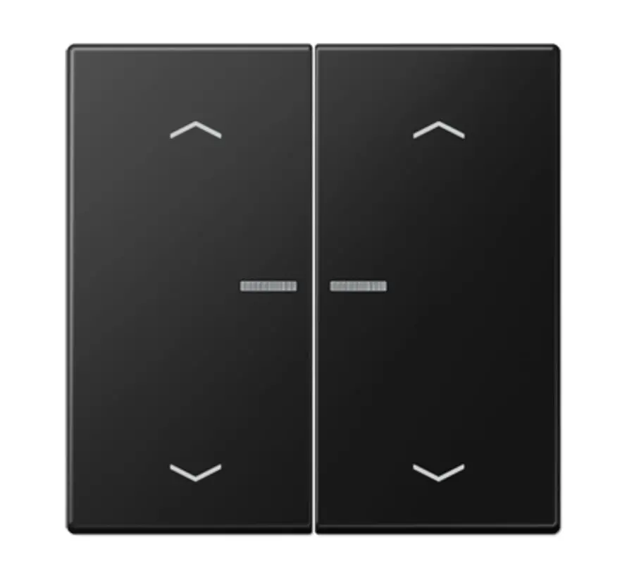 schakelwip 2-voudig met controlevenster en pijlsymbolen voor HOME draadloze schakelaar LS990 grafietzwart mat (LS 102 KO5P SWM)