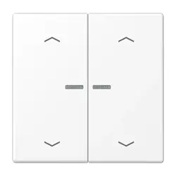JUNG schakelwip 2-voudig met controlevenster voor HOME draadloze schakelaar LS990 sneeuwwit mat (LS 102 KO5P WWM)