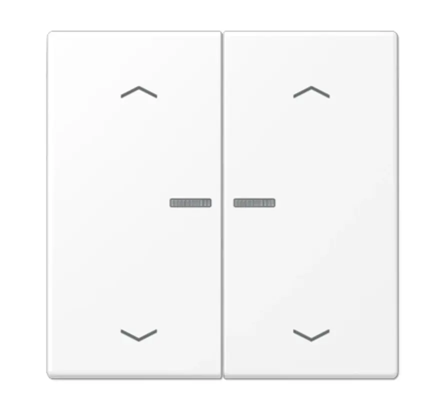 schakelwip 2-voudig met controlevenster voor HOME draadloze schakelaar LS990 sneeuwwit mat (LS 102 KO5P WWM)