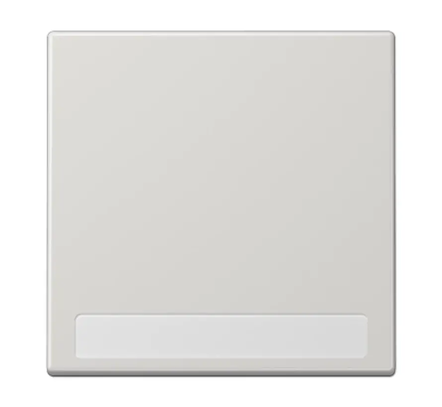 schakelwip met tekstvenster LS990 lichtgrijs (LS 990 NA LG)