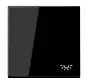 schakelwip met lichtsymbool LS990 zwart glans (LS 990 L SW)