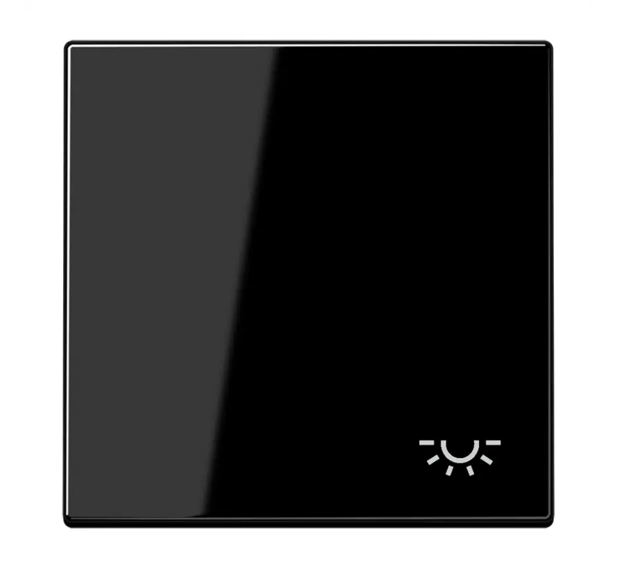 schakelwip met lichtsymbool LS990 zwart glans (LS 990 L SW)