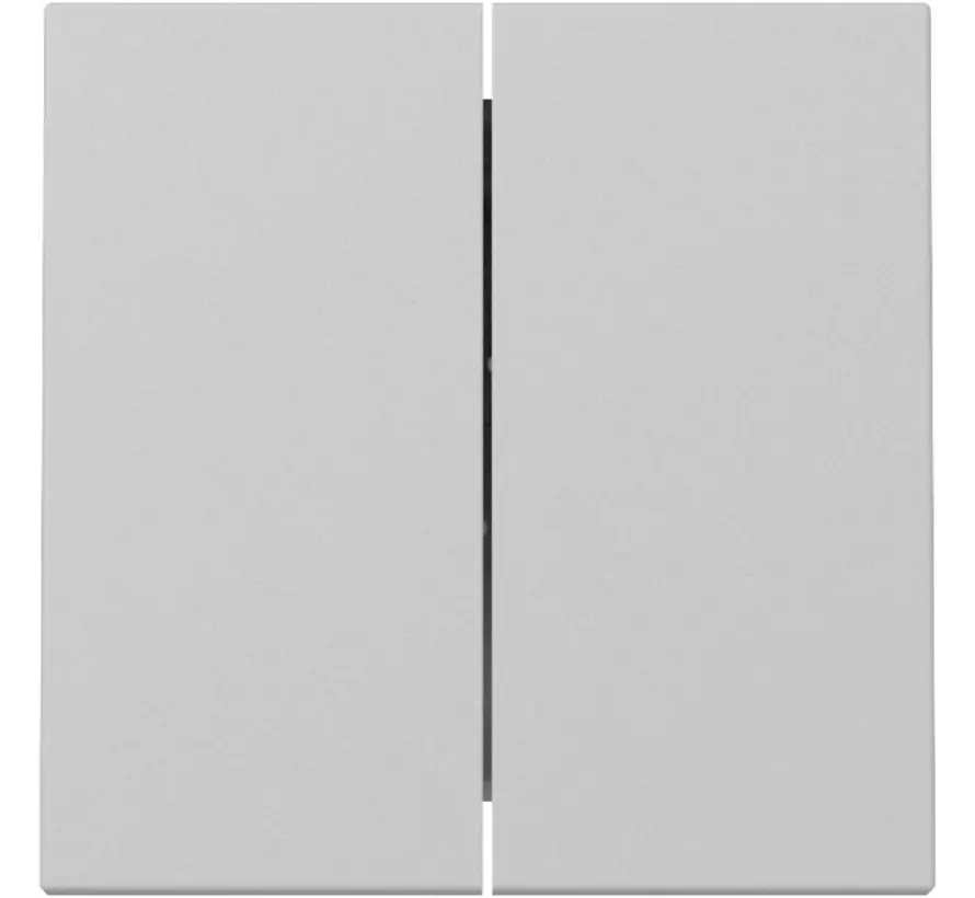 schakelwip 2-voudig Systeem 55 grijs mat (3295015)