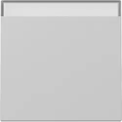 Gira schakelwip met tekstkader Systeem 55 grijs mat (3299015)