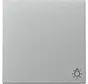 schakelwip met symbool licht Systeem 55 aluminium mat (328526)