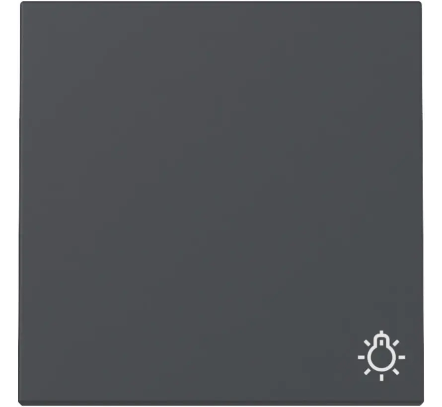 schakelwip met symbool licht Systeem 55 antraciet mat (328528)