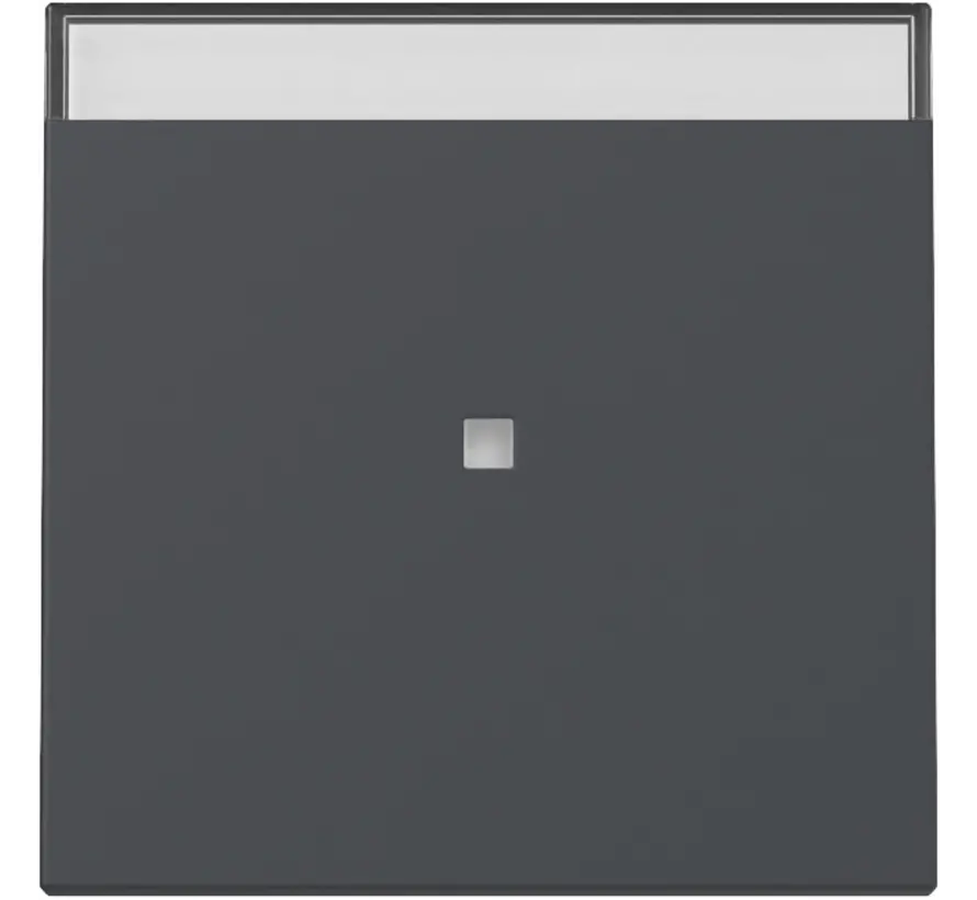 wip met controlevenster en tekstkader Systeem 55 antraciet mat (367028)