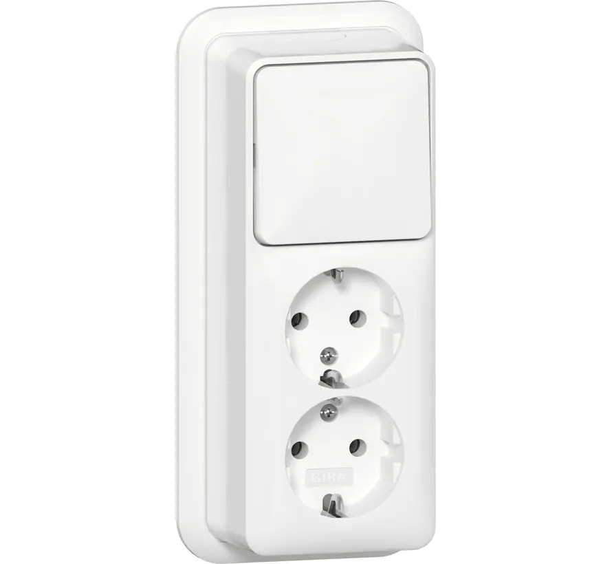 combinatie schakelaar en wandcontactdoos 2-voudig randaarde opbouw wit