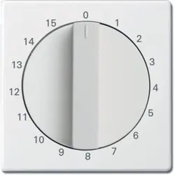 Busch-Jaeger draaigreep tijdschakelaar 15 min Future Linear studiowit mat (1770-884-103)