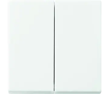 Busch-Jaeger Friends of Hue schakelwip 2-voudig Balance SI (6736 FOH-914)
