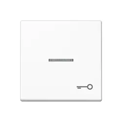 JUNG schakelwip met sleutelsymbool en controlevenster A-range alpine wit (A 590 KO5 T WW)