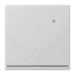 JUNG LED-orientatieverlichting met geïntegreerde lichtsensor LS990 lichtgrijs (LS 1539-O LG LNW)