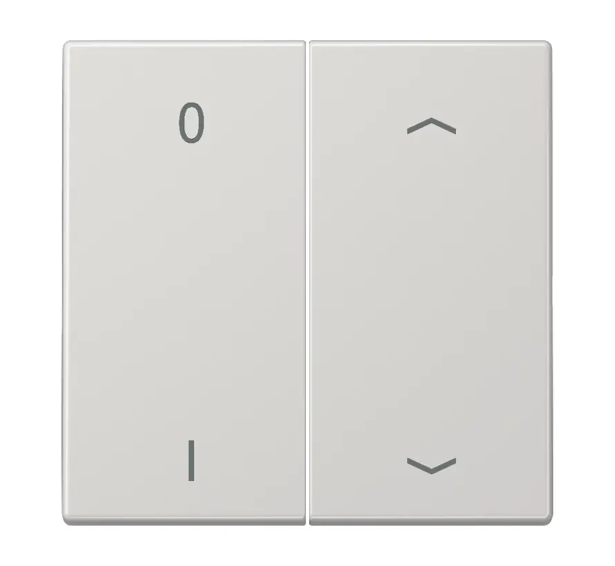 EnOcean draadloze wandzender 4-kanaals met 0-1 en pijlsymbolen LS990 lichtgrijs (ENO LS 995 P01 LG)
