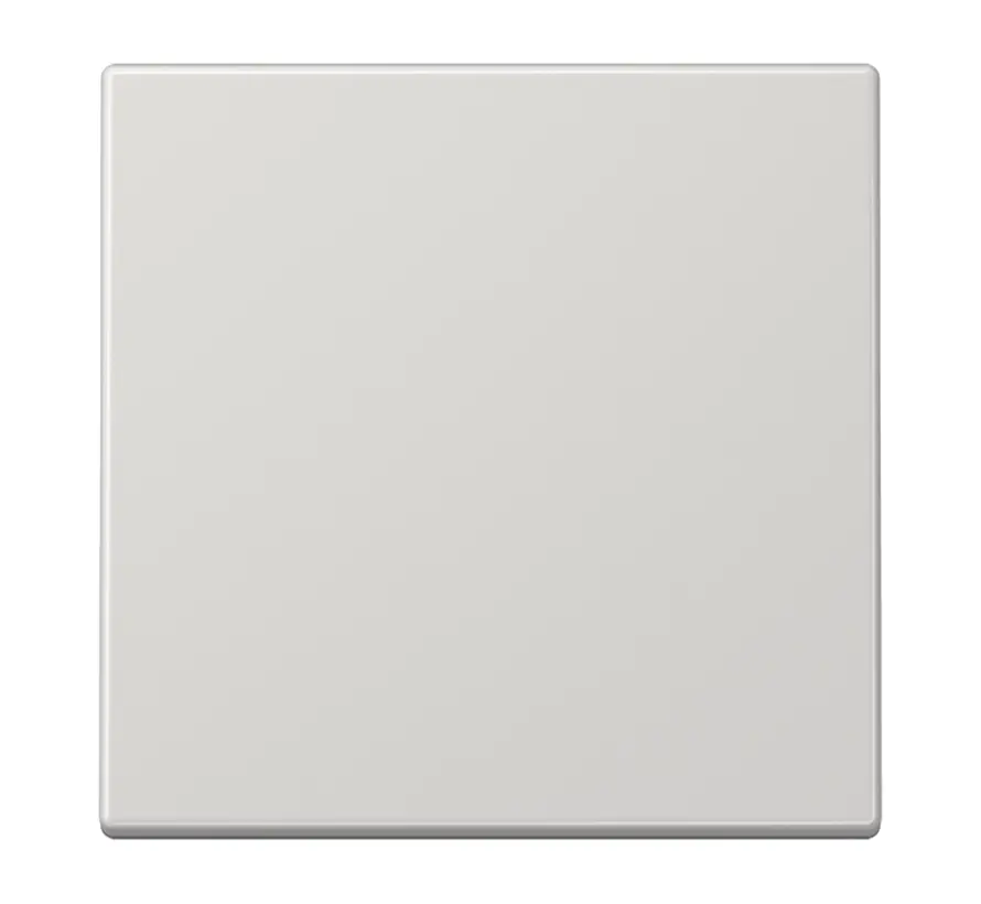 EnOcean draadloze wandzender 2-kanaals LS990 lichtgrijs (ENO LS 990 LG)